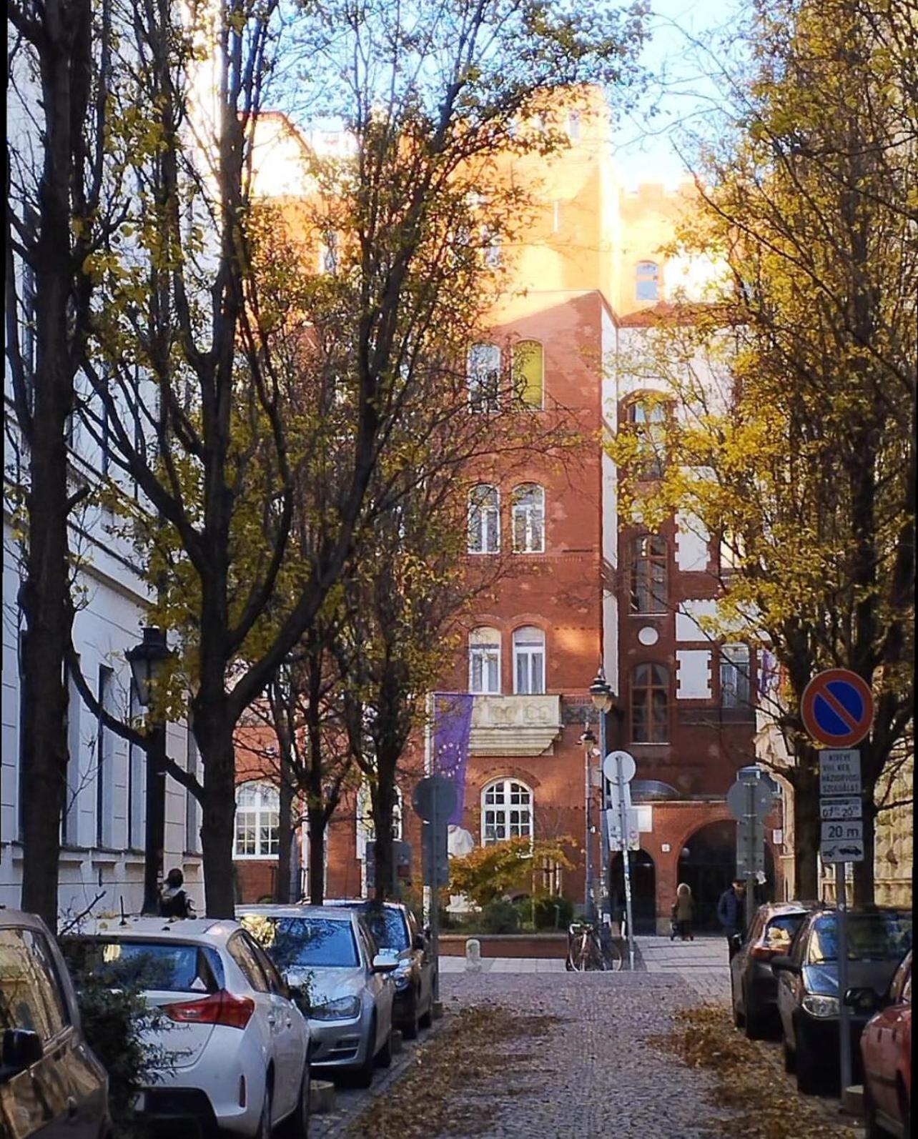 Cedar Inn Budapest - Palace District Экстерьер фото